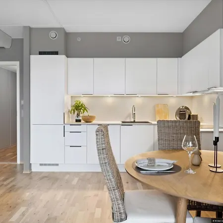 Modern 1 Bedroom In Apartment